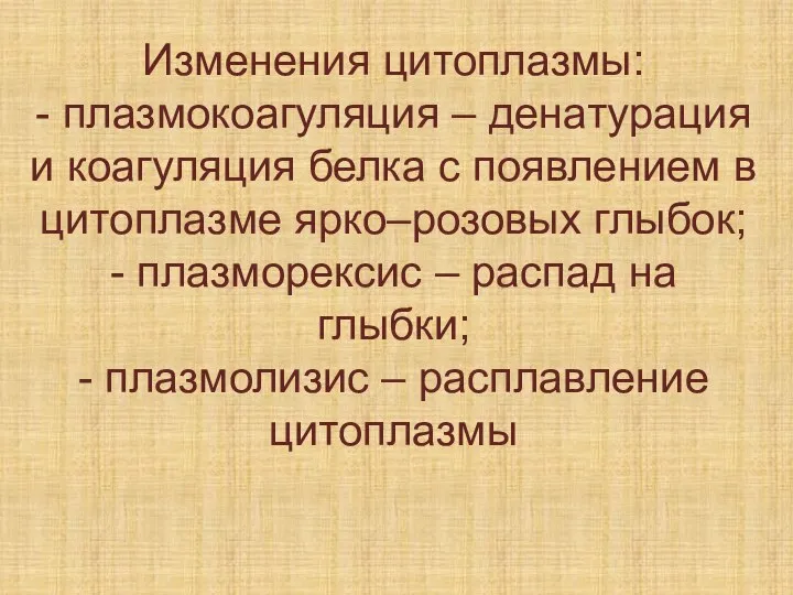 Изменения цитоплазмы: - плазмокоагуляция – денатурация и коагуляция белка с появлением в