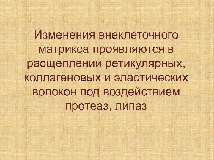 Изменения внеклеточного матрикса проявляются в расщеплении ретикулярных, коллагеновых и эластических волокон под воздействием протеаз, липаз