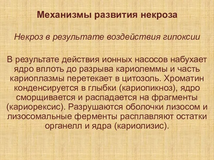 Механизмы развития некроза Некроз в результате воздействия гипоксии В результате действия ионных