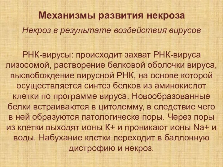 Механизмы развития некроза Некроз в результате воздействия вирусов РНК-вирусы: происходит захват РНК-вируса