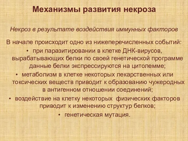 Механизмы развития некроза Некроз в результате воздействия иммунных факторов В начале происходит