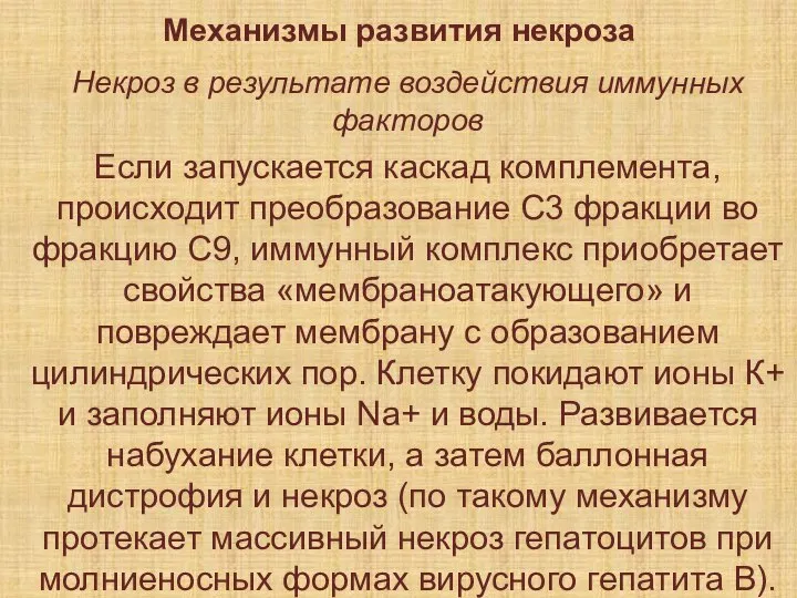 Механизмы развития некроза Некроз в результате воздействия иммунных факторов Если запускается каскад