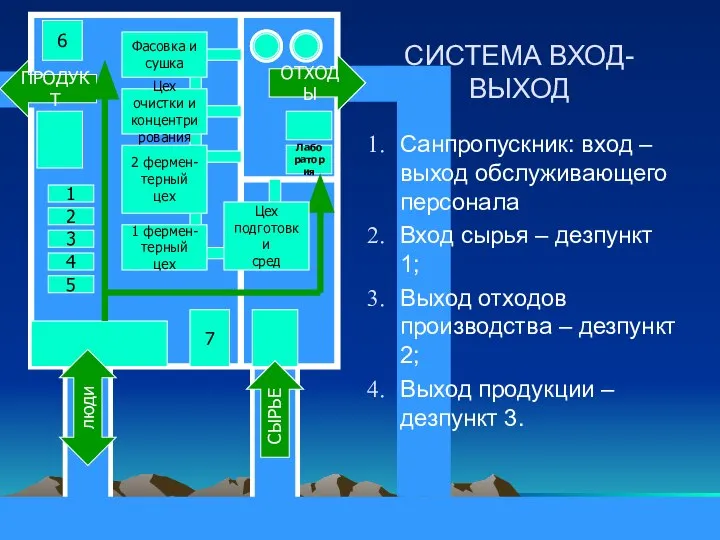 СИСТЕМА ВХОД-ВЫХОД Санпропускник: вход – выход обслуживающего персонала Вход сырья – дезпункт