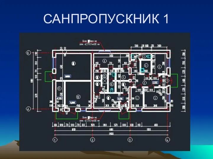 САНПРОПУСКНИК 1