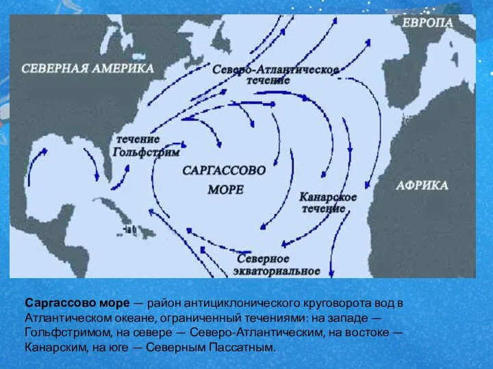 Саргассово море — район антициклонического круговорота вод в Атлантическом океане, ограниченный течениями: