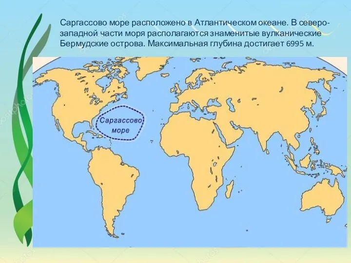 Саргассово море расположено в Атлантическом океане. В северо-западной части моря располагаются знаменитые