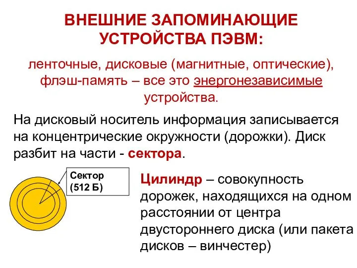 ВНЕШНИЕ ЗАПОМИНАЮЩИЕ УСТРОЙСТВА ПЭВМ: ленточные, дисковые (магнитные, оптические), флэш-память – все это