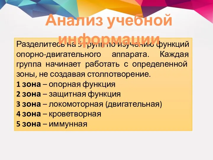 Разделитесь на 5 групп по изучению функций опорно-двигательного аппарата. Каждая группа начинает