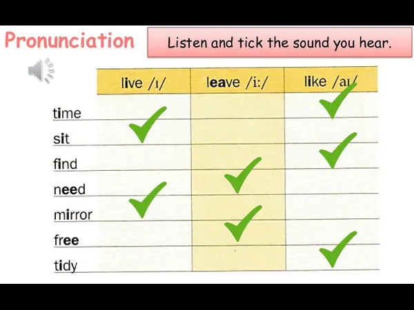 Pronunciation Listen and tick the sound you hear.