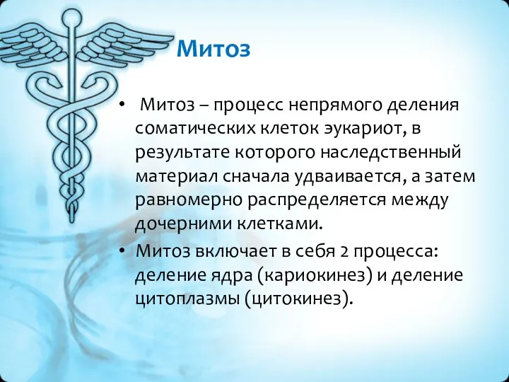 Митоз Митоз – процесс непрямого деления соматических клеток эукариот, в результате которого