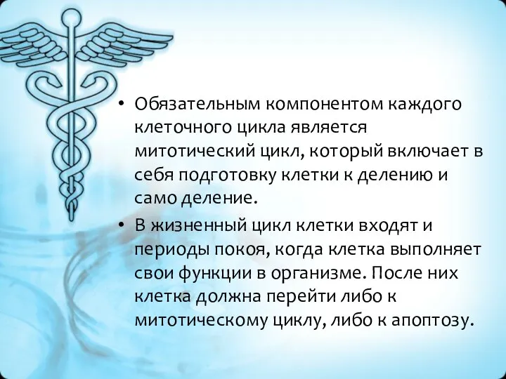 Обязательным компонентом каждого клеточного цикла является митотический цикл, который включает в себя