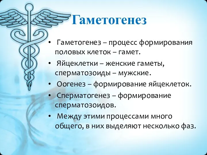 Гаметогенез Гаметогенез – процесс формирования половых клеток – гамет. Яйцеклетки – женские