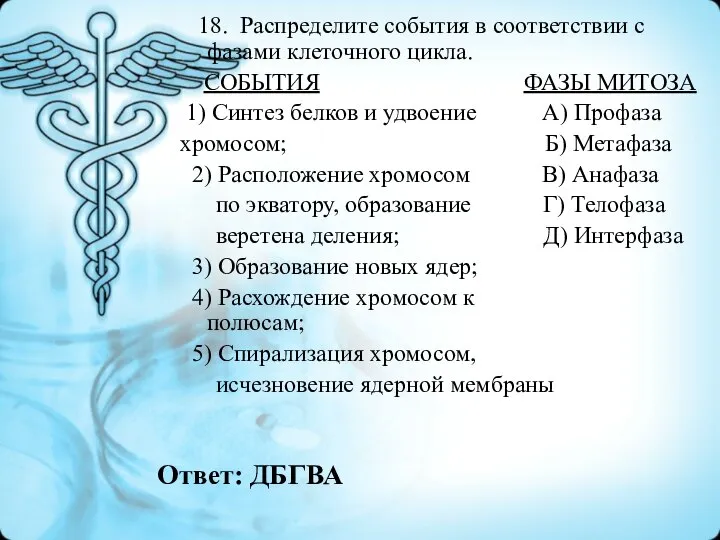 Ответ: ДБГВА 18. Распределите события в соответствии с фазами клеточного цикла. СОБЫТИЯ