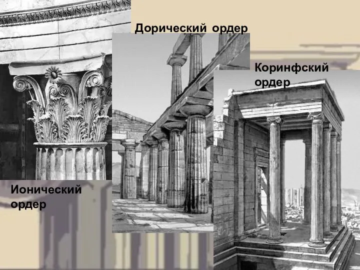 Ионический ордер Дорический ордер Коринфский ордер