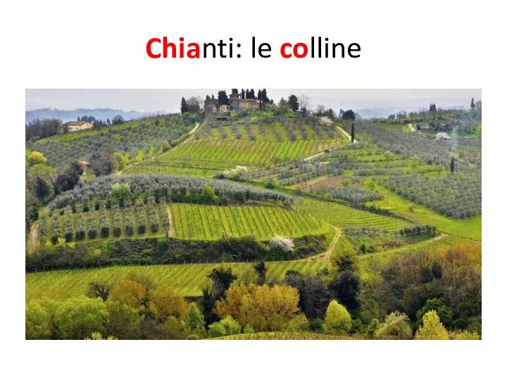 Chianti: le colline