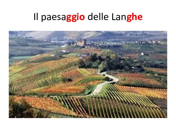 Il paesaggio delle Langhe