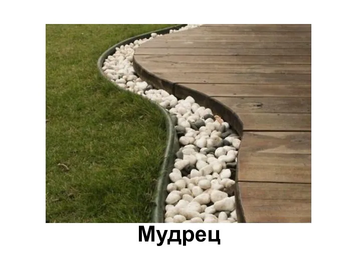 Мудрец