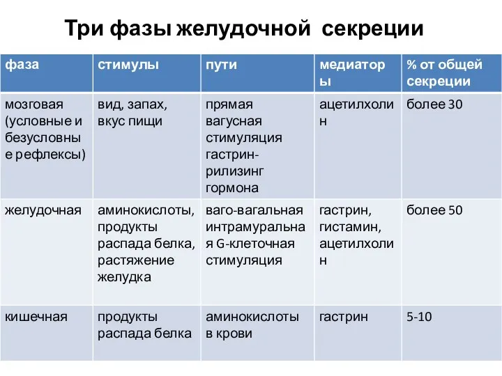 Три фазы желудочной секреции