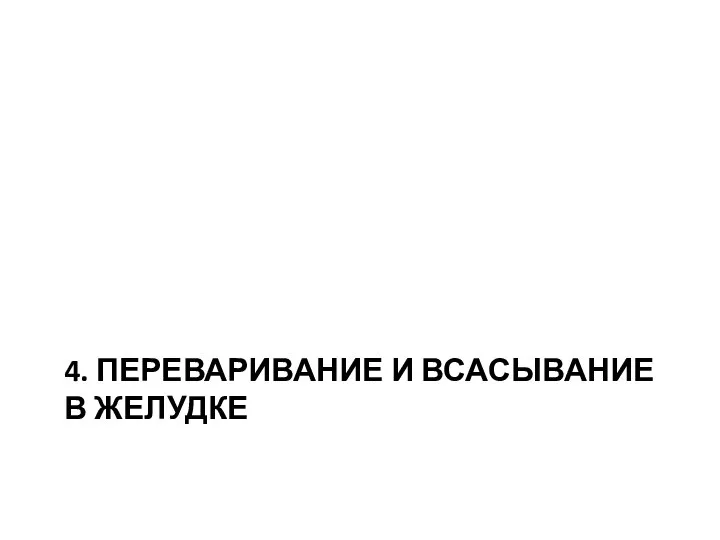 4. ПЕРЕВАРИВАНИЕ И ВСАСЫВАНИЕ В ЖЕЛУДКЕ