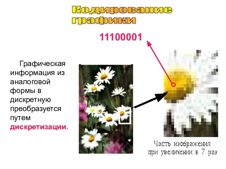 Графическая информация из аналоговой формы в дискретную преобразуется путем дискретизации. 11100001 Кодирование графики