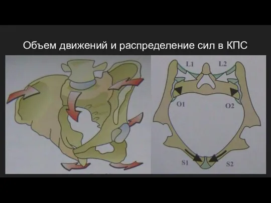 Объем движений и распределение сил в КПС