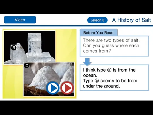 A History of Salt Lesson 5 Before You Read There are two