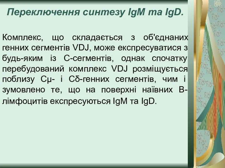 Переключення синтезу ІgМ та ІgD. Комплекс, що складається з об'єднаних генних сегментів