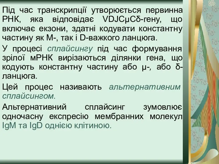 Під час транскрипції утворюється первинна РНК, яка відповідає VDJСμСδ-гену, що включає екзони,