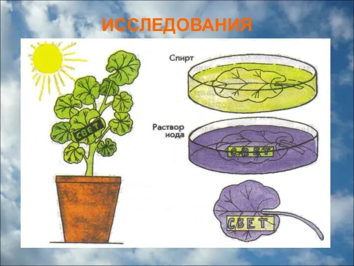 ИССЛЕДОВАНИЯ