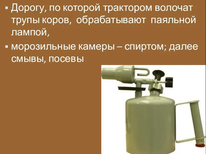 Дорогу, по которой трактором волочат трупы коров, обрабатывают паяльной лампой, морозильные камеры