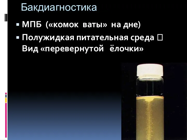 Бакдиагностика МПБ («комок ваты» на дне) Полужидкая питательная среда ? Вид «перевернутой ёлочки»