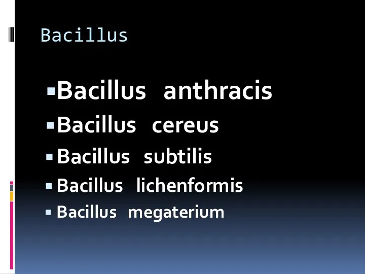 Bacillus Bacillus anthracis Bacillus cereus Bacillus subtilis Bacillus lichenformis Bacillus megaterium