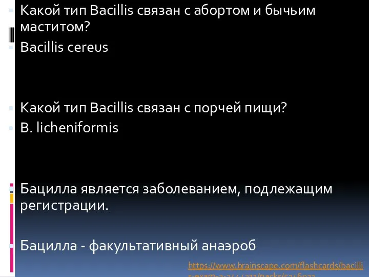 Какой тип Bacillis связан с абортом и бычьим маститом? Bacillis cereus Какой