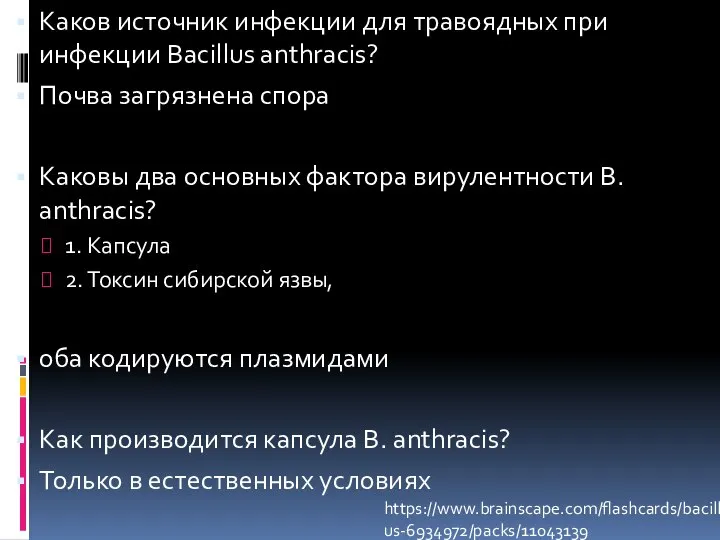 Каков источник инфекции для травоядных при инфекции Bacillus anthracis? Почва загрязнена спора