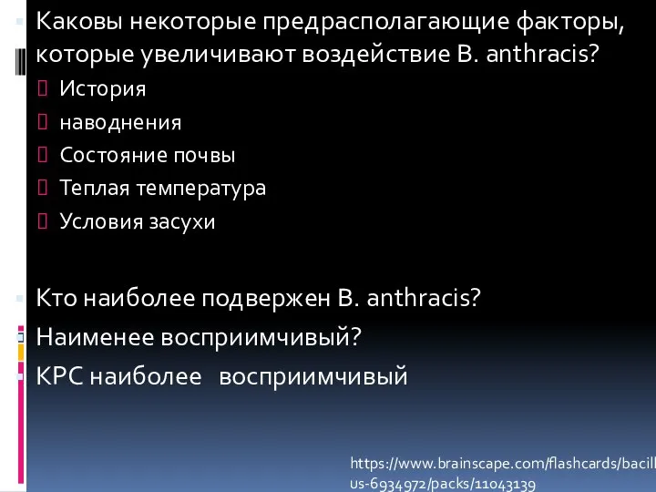 Каковы некоторые предрасполагающие факторы, которые увеличивают воздействие B. anthracis? История наводнения Состояние