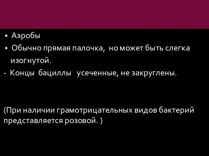 Аэробы Обычно прямая палочка, но может быть слегка изогнутой. - Концы бациллы