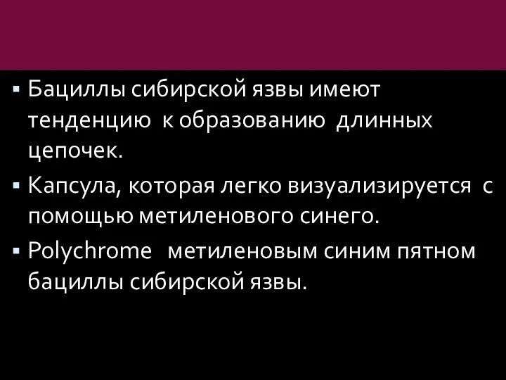 Бациллы сибирской язвы имеют тенденцию к образованию длинных цепочек. Капсула, которая легко