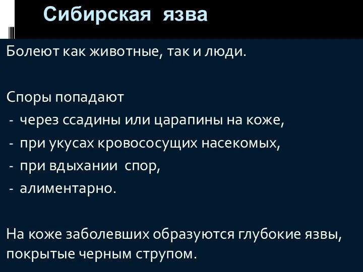 Сибирская язва Болеют как животные, так и люди. Споры попадают через ссадины