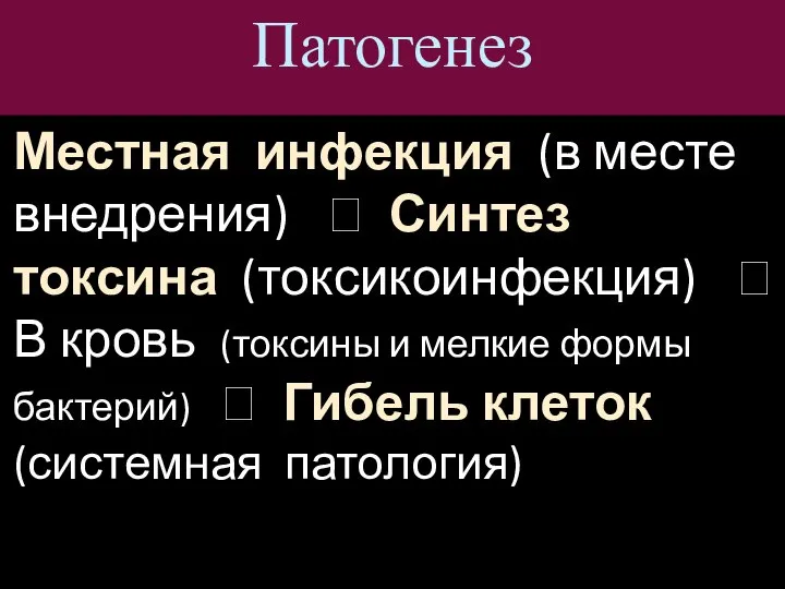 Патогенез Местная инфекция (в месте внедрения) ? Синтез токсина (токсикоинфекция) ? В