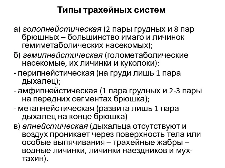 Типы трахейных систем а) голопнейстическая (2 пары грудных и 8 пар брюшных