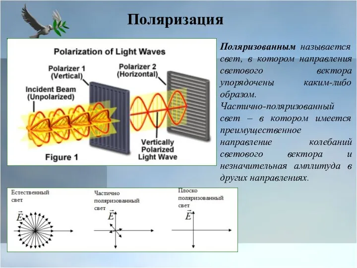 Поляризованным называется свет, в котором направления светового вектора упорядочены каким-либо образом. Частично-поляризованный