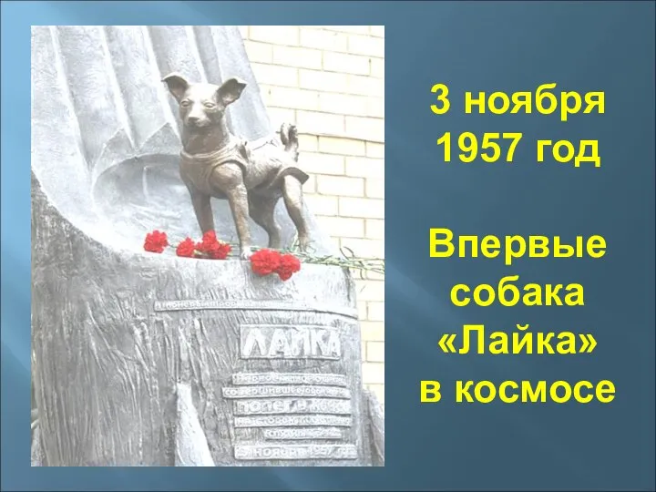 3 ноября 1957 год Впервые собака «Лайка» в космосе