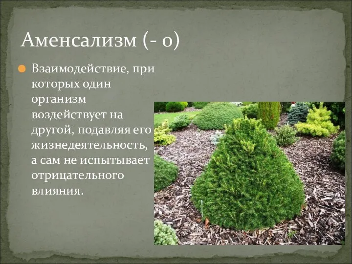 Взаимодействие, при которых один организм воздействует на другой, подавляя его жизнедеятельность, а