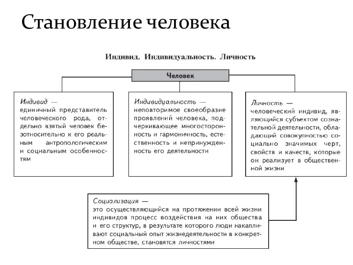 Становление человека