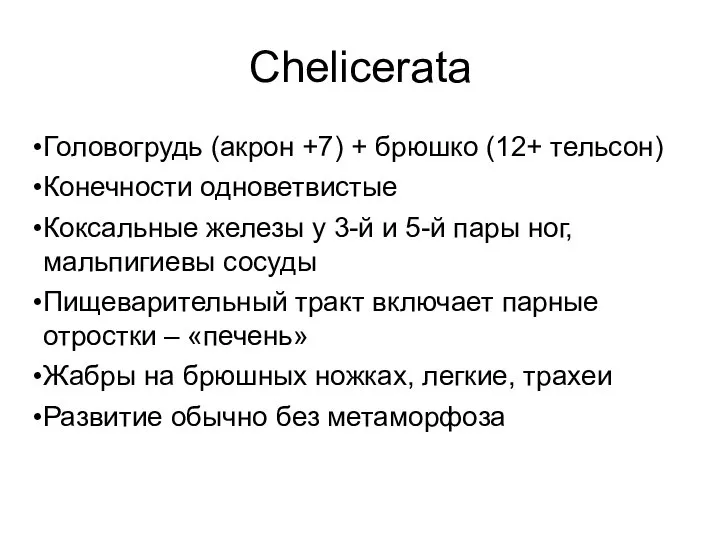 Chelicerata Головогрудь (акрон +7) + брюшко (12+ тельсон) Конечности одноветвистые Коксальные железы
