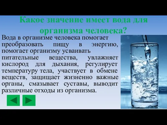 Какое значение имеет вода для организма человека? Вода в организме человека помогает