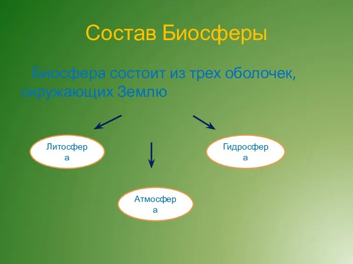 Состав Биосферы Биосфера состоит из трех оболочек, окружающих Землю Литосфера Атмосфера Гидросфера