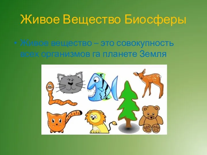 Живое Вещество Биосферы Живое вещество – это совокупность всех организмов га планете Земля