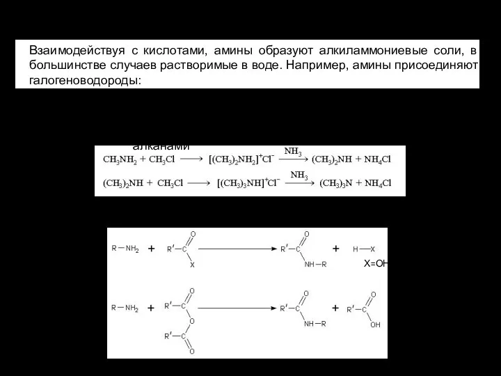 Химические свойства Взаимодействуя с кислотами, амины образуют алкиламмониевые соли, в большинстве случаев