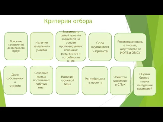 Критерии отбора Основное направление деятельности К(Ф)Х Доля собственного участия Наличие земельного участка